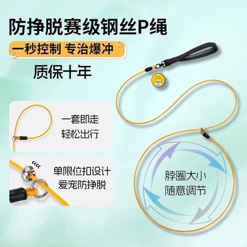 新泽佳遛狗p绳训犬钢丝P链牵引绳