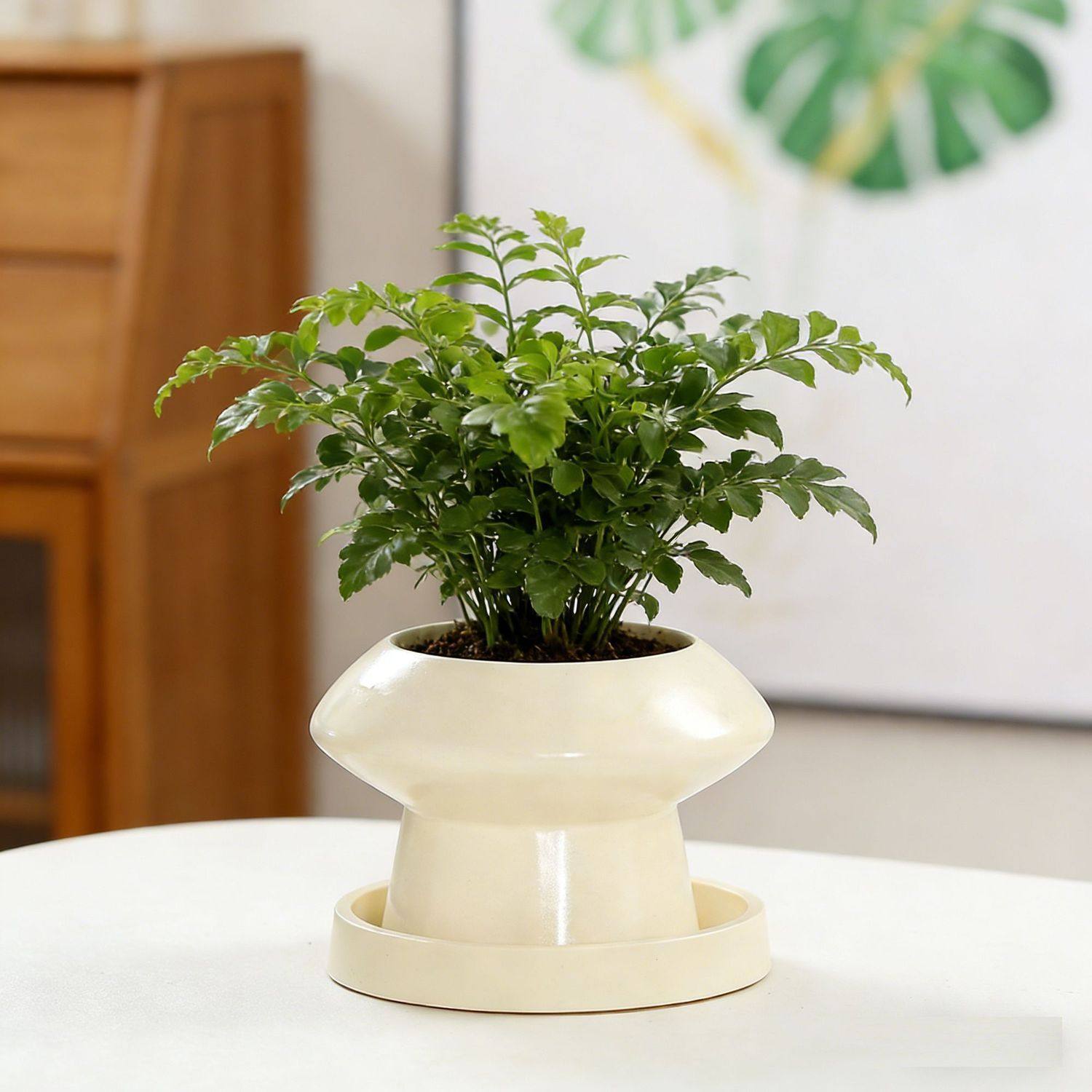 ins奶油风陶瓷花盆轻奢家用蝴蝶兰北欧简约梦香兰多肉绿植盆景盆,鲜花速递/花卉仿真/绿植园艺,花盆,淘宝优惠券,粉丝福利购,淘宝优惠卷