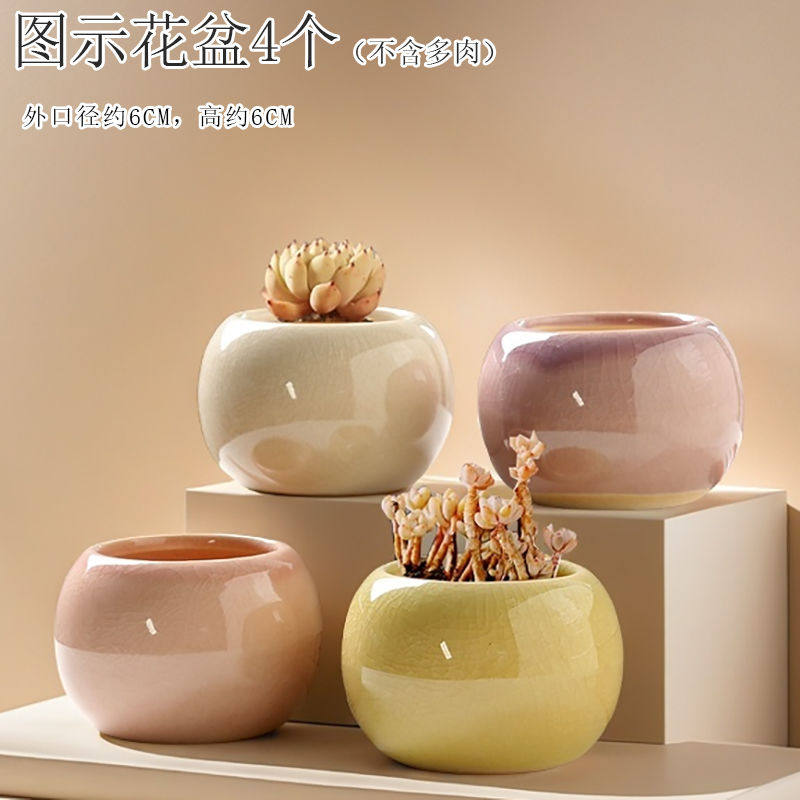 简约陶瓷冰裂纹小球可爱便宜透气肉肉小花盆多肉球形花盆卡通造型,鲜花速递/花卉仿真/绿植园艺,花盆,淘宝优惠券,粉丝福利购,淘宝优惠卷