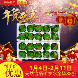 美食中国温汤佬盐皮蛋20枚江西宜春明月山土特产无铅盐蛋皮蛋包邮