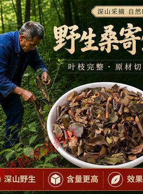 深山野生桑寄生茶500g正品中药材