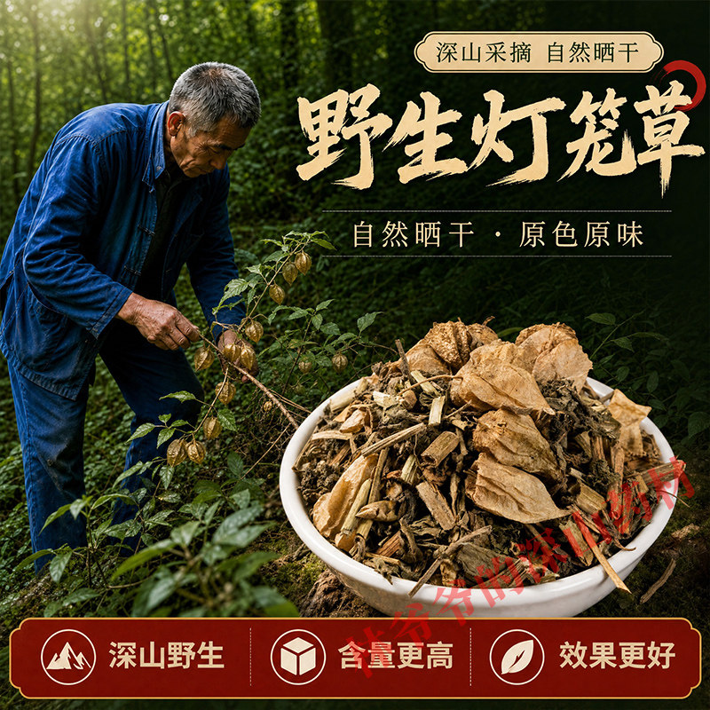深山野生灯笼草500g鬼灯笼苦锦灯笼南方姑娘果干新鲜干货中药材