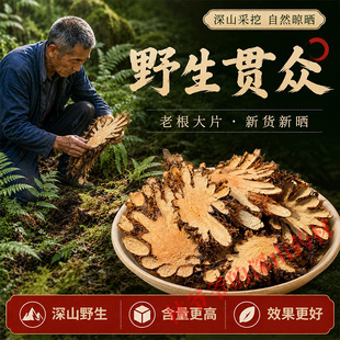 云南野生贯众中药材500g深山自采绵马贯众管仲贯节黑狗脊无硫正品