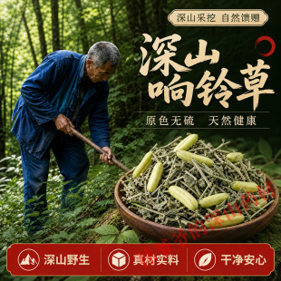 深山野生响铃草500g正品中药材响灵草 马铃草 铃子草 耳响泡水喝