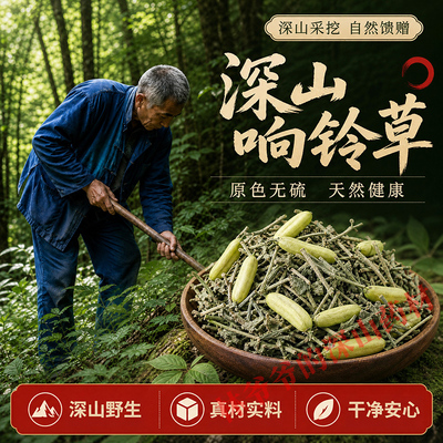 深山野生响铃草500g正品中药材