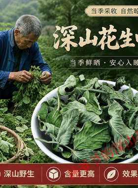 天然花生叶500g正品中药材
