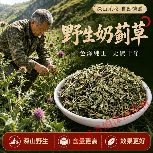 野生奶蓟草中药材500g天然新货