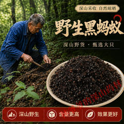长白山野生黑蚂蚁中药材500g正品拟黑多刺蚁大蚂蚁特级干货泡酒料