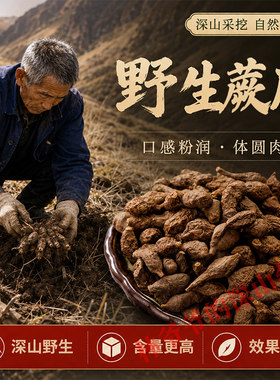 深山野生蕨麻500g正品中药材