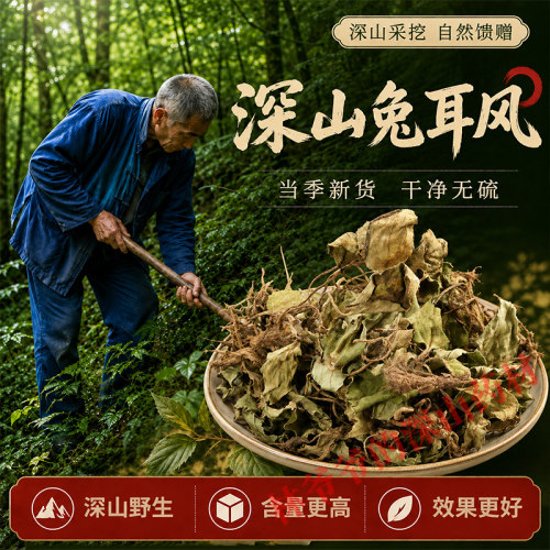 深山野生兔耳风500g正品中药材