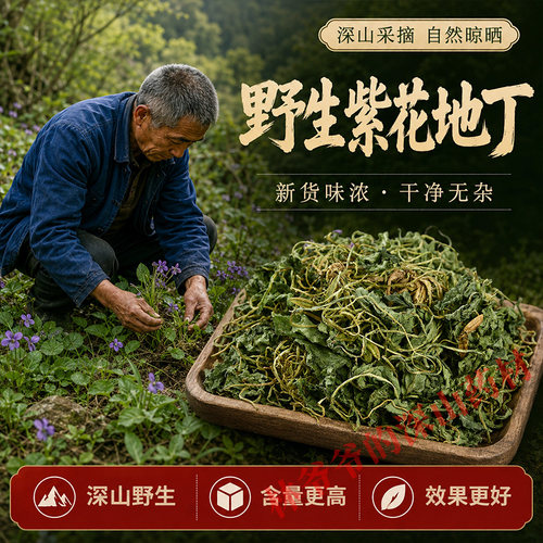 深山野生紫花地丁500g正品中药材