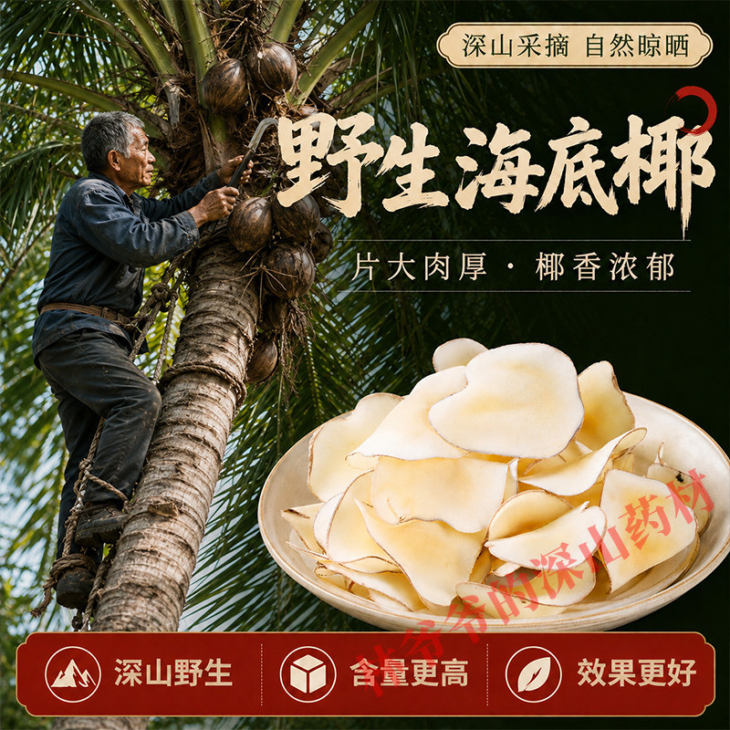 天然野生海底椰500g正宗中药材新鲜干货无硫海底椰片滋补煲汤浓香