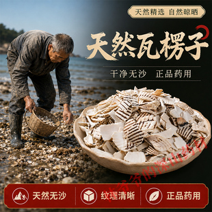天然野生瓦楞子1000g正品中药材瓦楞子粉 瓦垄子 煅瓦楞子毛蚶壳
