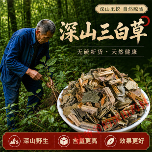 深山野生三白草500g正品中药材塘边藕百节藕过塘藕白花莲中草药