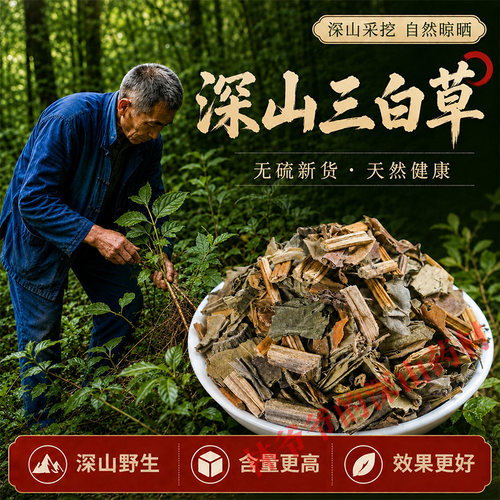 深山野生三白草500g正品中药材