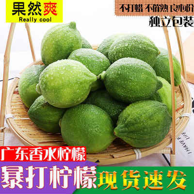 果然爽香水柠檬暴打柠檬专用