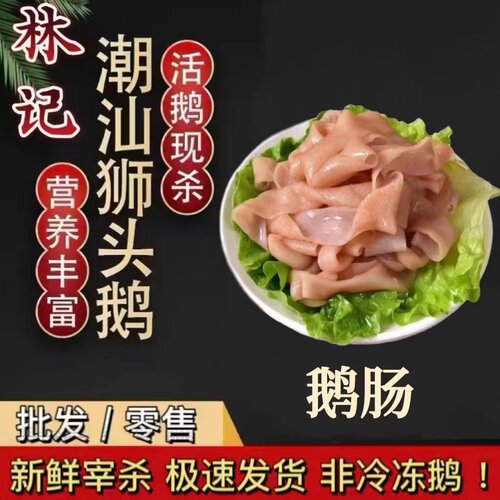 潮汕狮头鹅生鲜鹅肠九尺鹅肠