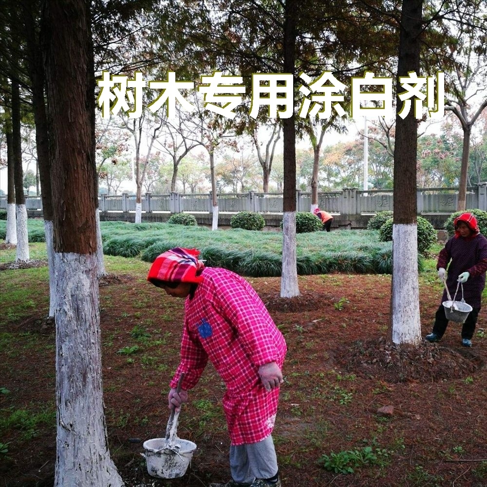 树木涂白剂生石灰大树涂白粉剂刷白剂树干涂白杀虫剂果树涂抹粉剂