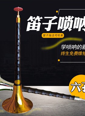 六孔笛子唢呐乐器全套降b调6孔黑檀乌木成人儿童初学D调大中小号
