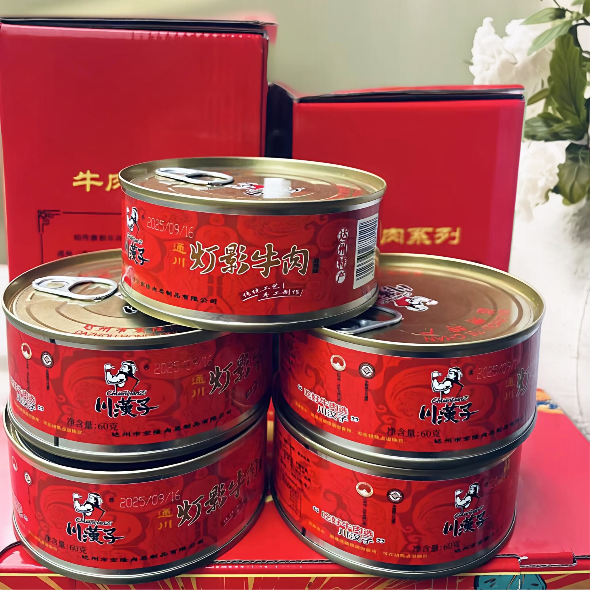 通川四川特产川汉子灌装灯影牛肉60g5听牛肉休闲零食五香麻辣达州