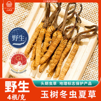 三江源冬虫夏草野生虫草高海拔青海虫草4根1g玉树产地 节日礼物