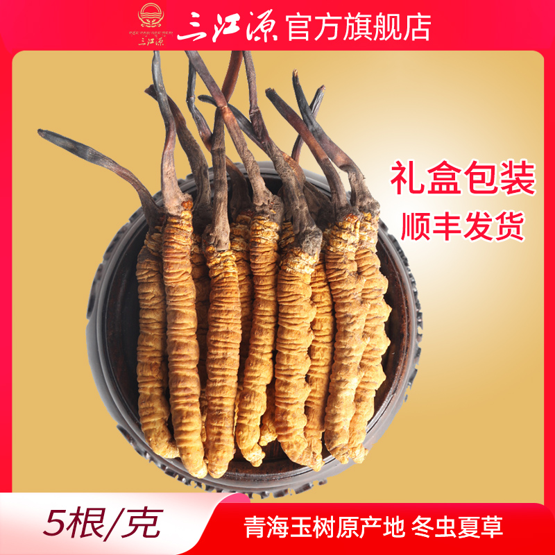 三江源冬虫夏草青海玉树野生虫草5根/g青海虫草新草高海拔虫草