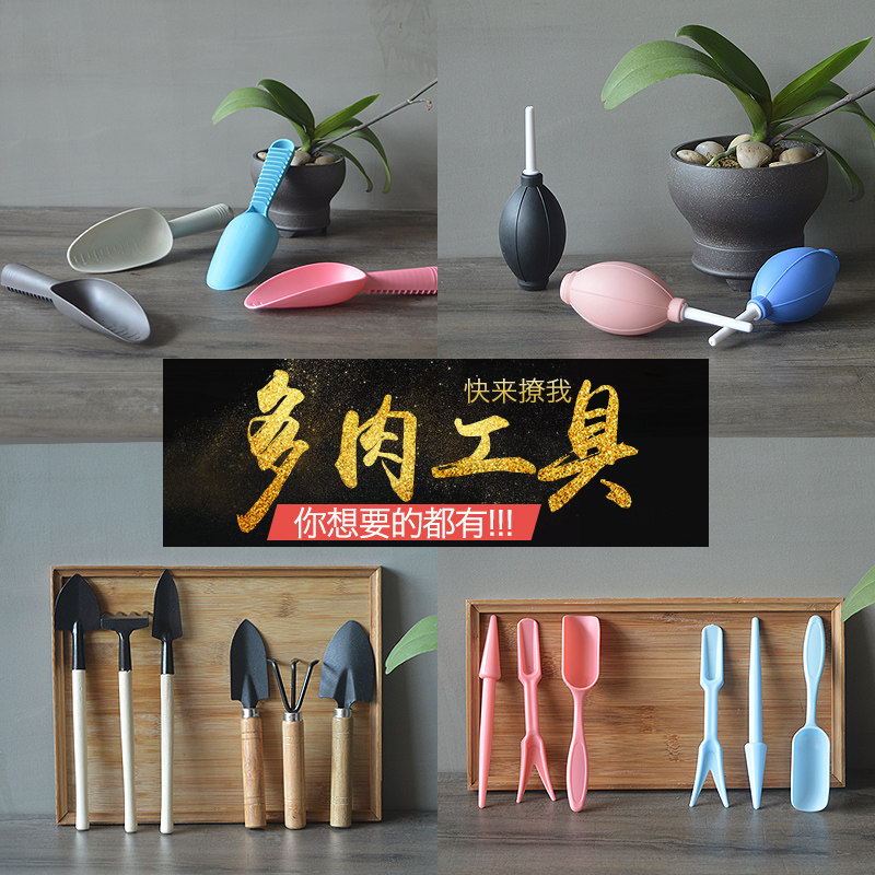 多肉工具三件套新手肉肉种植起苗器镊子气吹砍头刀浇水壶园艺工具在类目 鲜花速递/花卉仿真/绿植园艺, 园艺用品, 其它园艺用品中 - 来自Buy2taobao.com提供专业的淘宝代购服务