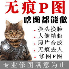 专业ps修图照片p图换背景换头换衣服人像精修明星合影合照去路人