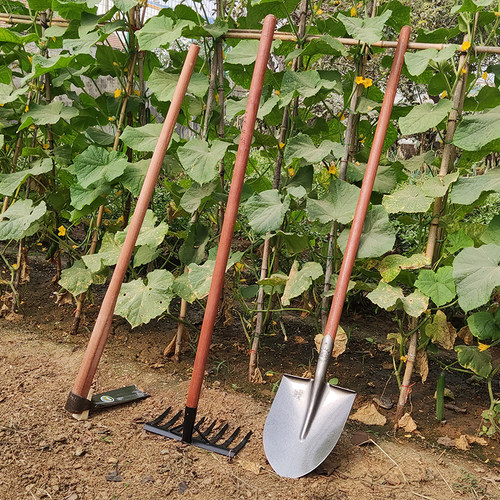 农用种菜工具大全种植铁锹锄头耙子套装翻地松土开荒除草铲子挖土