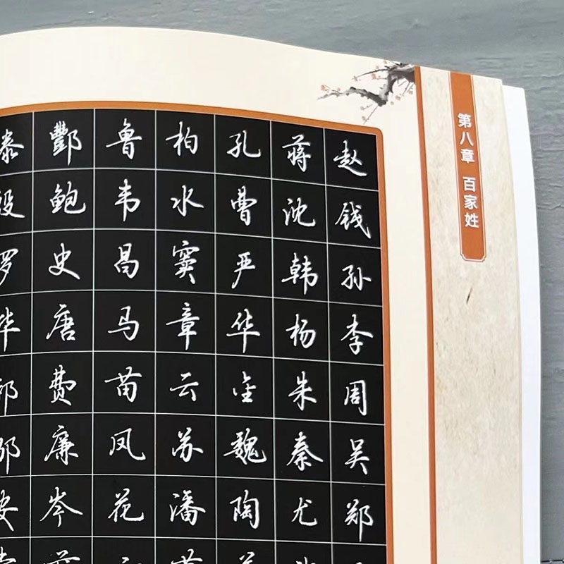 2025新款逍遥硬笔书法行楷字帖行书钢笔字帖全新升级图文精讲解