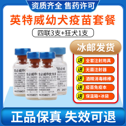 英特威荷兰狗狗疫苗四联