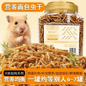 仓鼠面包虫干蜜袋鼯零食金丝熊仓鼠粮食主粮芦丁鸡鹦鹉黄粉虫干