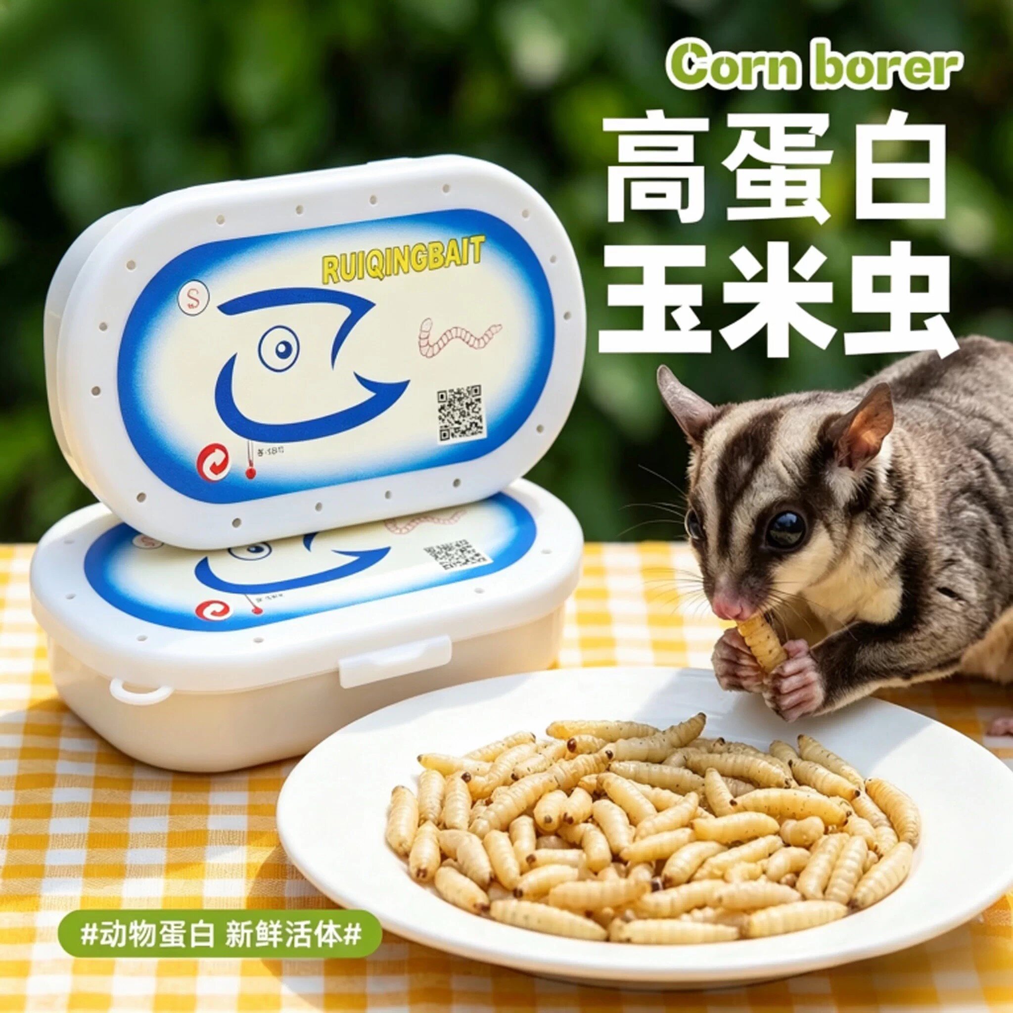 蜜袋鼯活虫玉米虫零食虫子葡萄蜜仓鼠花枝鼠鹦鹉粮食吃的虫子