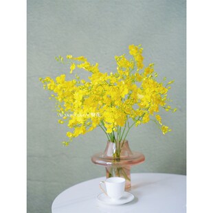 柠檬黄跳舞兰花束搭配插花家居办公装饰点缀氛围感满满云南直发