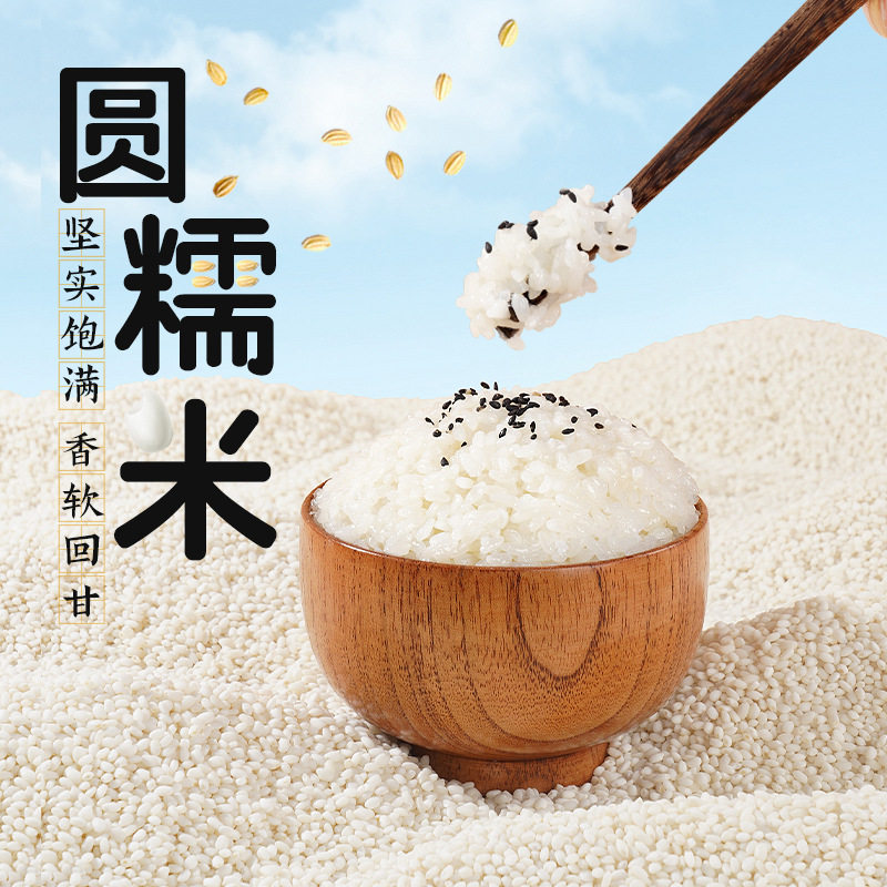 山姆冠超市燕之坊东北圆糯米圆粒五谷杂粮江米糯米包粽子原料厂家