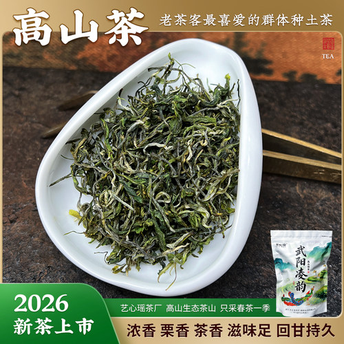 423/426/501武阳凌韵 群体种高山毛峰绿茶 2026新茶 山韵足