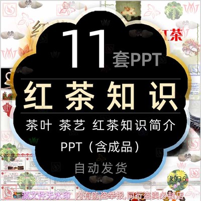 茶叶茶文化茶艺茶道红茶知识简介PPT模板冲泡红茶品鉴品茶介绍wps