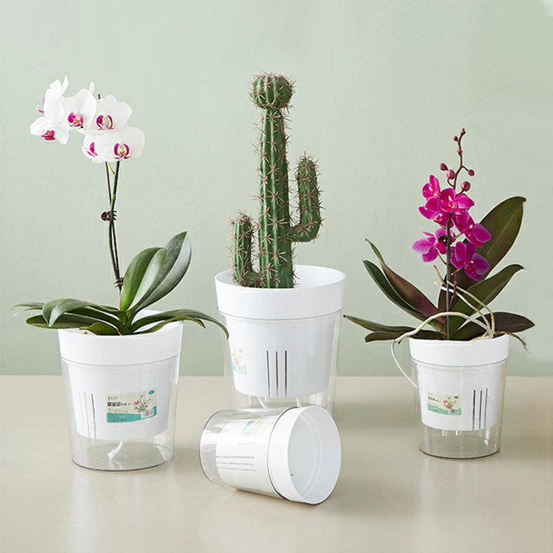 白色透明自吸水懒人花盆蝴蝶兰专用盆圆形加厚塑料透气水培绿植盆