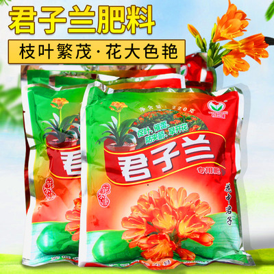 君子兰长效有机肥植物园艺用品