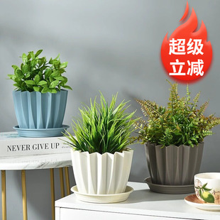 创意蛋糕杯花盆异形多边花盆PP树脂环保花盆北欧简约塑料加厚花盆