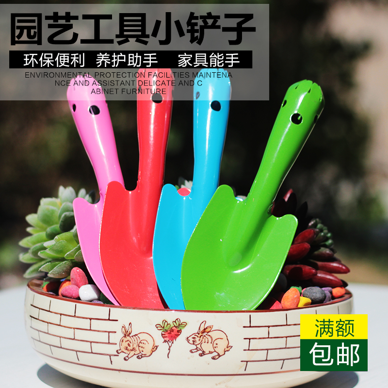 园艺用品阳台种花多肉方头绿植