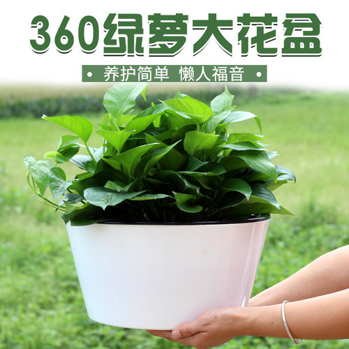田园风格360绿萝双层懒人套盆