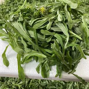 鼠曲草新鲜现摘清明菜清明草江西农家野生青明菜青团粑粑原材料