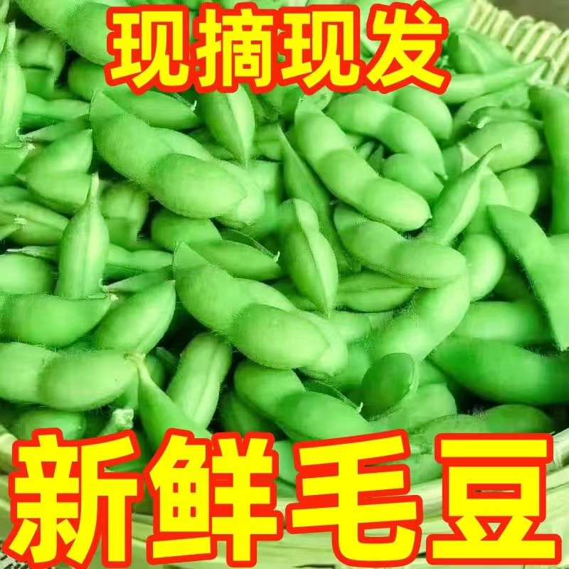 江西农家自种新鲜毛豆