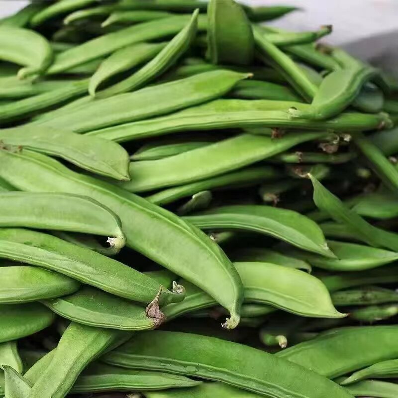 新鲜刀豆包邮江西农家自种 时令新鲜豆类