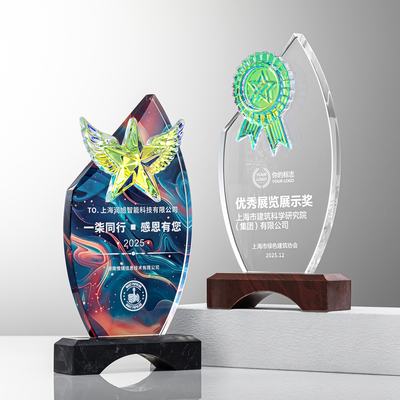 创意水晶奖杯定制高档大气企业优秀员工团队荣誉颁奖年会奖牌订制