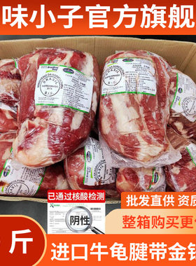 卤牛肉冷冻新鲜金钱腱金钱腱