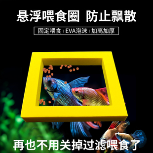 鱼缸喂食器水族箱鱼食投食器饲料喂食圈小型鱼漂浮式喂食神器