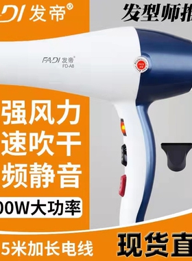 发帝A8吹风机发型师专用大功率发