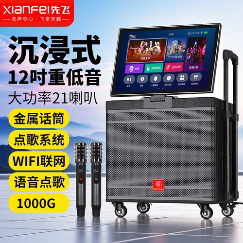 先飞K歌音响户外广场舞音箱带显K